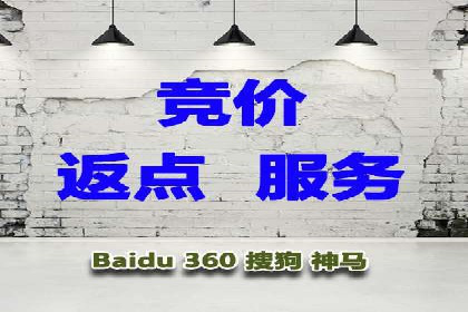 SEM推广代运营服务案例解析